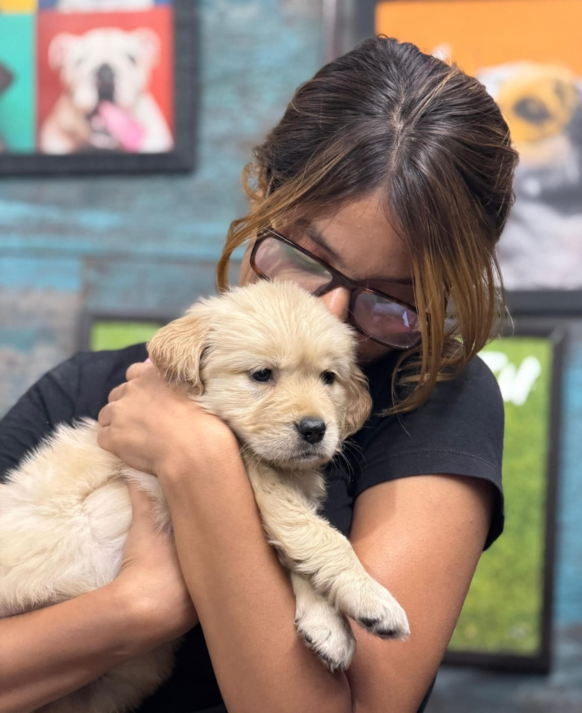 Kavya & Honey with Golden Retriever